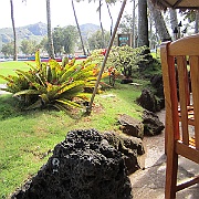 Picture 008